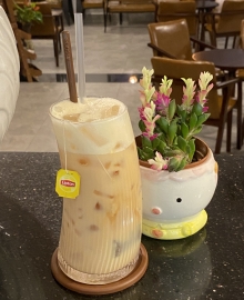 Lipton sữa