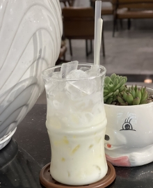Yauort đá