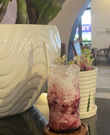 Yaourt Việt Quất