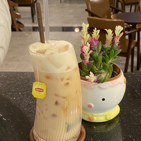 Lipton sữa
