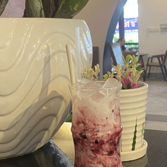 Yaourt Việt Quất